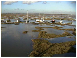 Approach to Tollesbury Marina through the Saltings