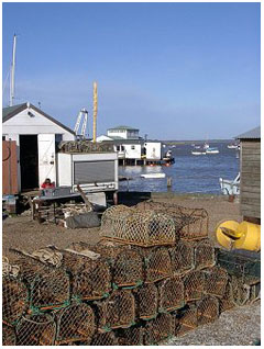 Lobster Pots outside the fish sellers sheds at Felixstowe Ferry